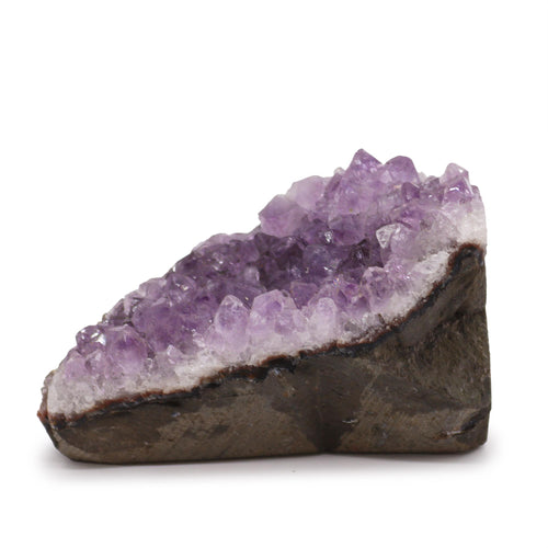 Medium Amethyst Cluster