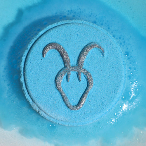 Box of 2 Capricorn Bath Fizzers