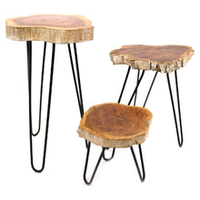 Load image into Gallery viewer, Set of 3 Gamal Wood Plant Stands