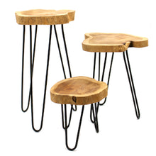 Load image into Gallery viewer, Set of 3 Gamal Wood Plant Stands