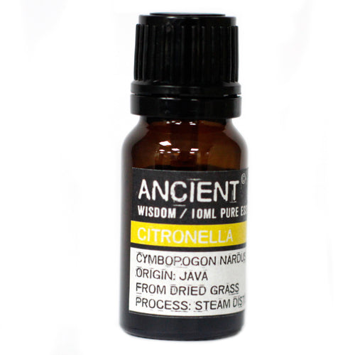 Citronella oil is famous as a plant-based insect repellent.  Other than being useful as an insect repellent for the skin, this oil is considered good for excessive perspiration, oily skin and hair and works as a deodorant. It is said to soothe pain due to rheumatism and arthritis and resist flu, colds and minor infections. 