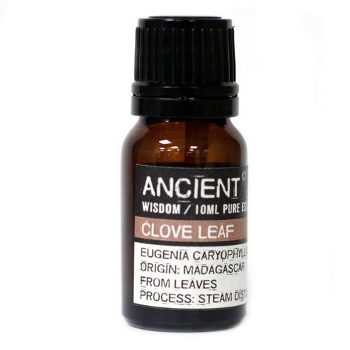 This is a potent oil with a warm, strong, spicy smell and needs to be used very diluted and with much care in aromatherapy.   Clove oil is being used to heal or soothe acne, bruises, cuts and burns, leg sores, and as a pain reliever for rheumatism and arthritis. It is said to be good for the digestive system as well, helping with vomiting, diarrhoea, flatulence, spasms, and parasites. 