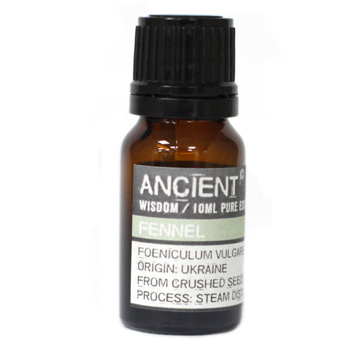 Fennel Essential Oil is extracted from the plant Foeniculum vulgare var. dulce, which is sweet fennel, also known as Roman fennel. It is extracted from the crushed seeds by steam distillation. It is used in aromatherapy to treat oily skin, wrinkles, and obesity. It is said to boost courage, resolve, and strength.