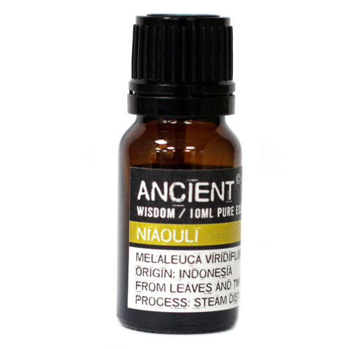 Niaouli oil is said to eliminate pain by inducing numbness in the nerves and by desensitizing the area. It is considered as very effective in relieving the pain of headaches, migraines, toothaches, earaches, and muscle and joint pain, as well as pain due to sprains.