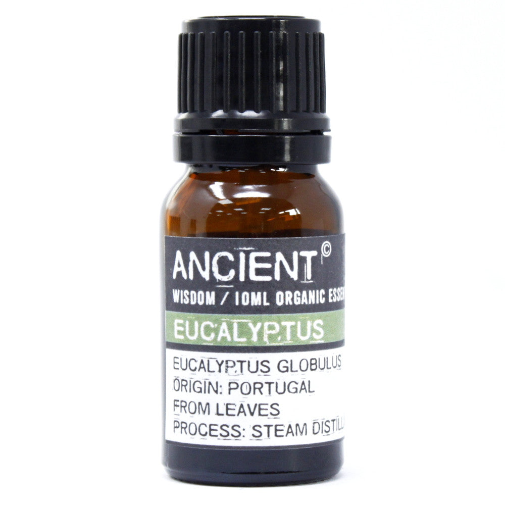 Eucalyptus Organic Essential Oil - Melluna_UK