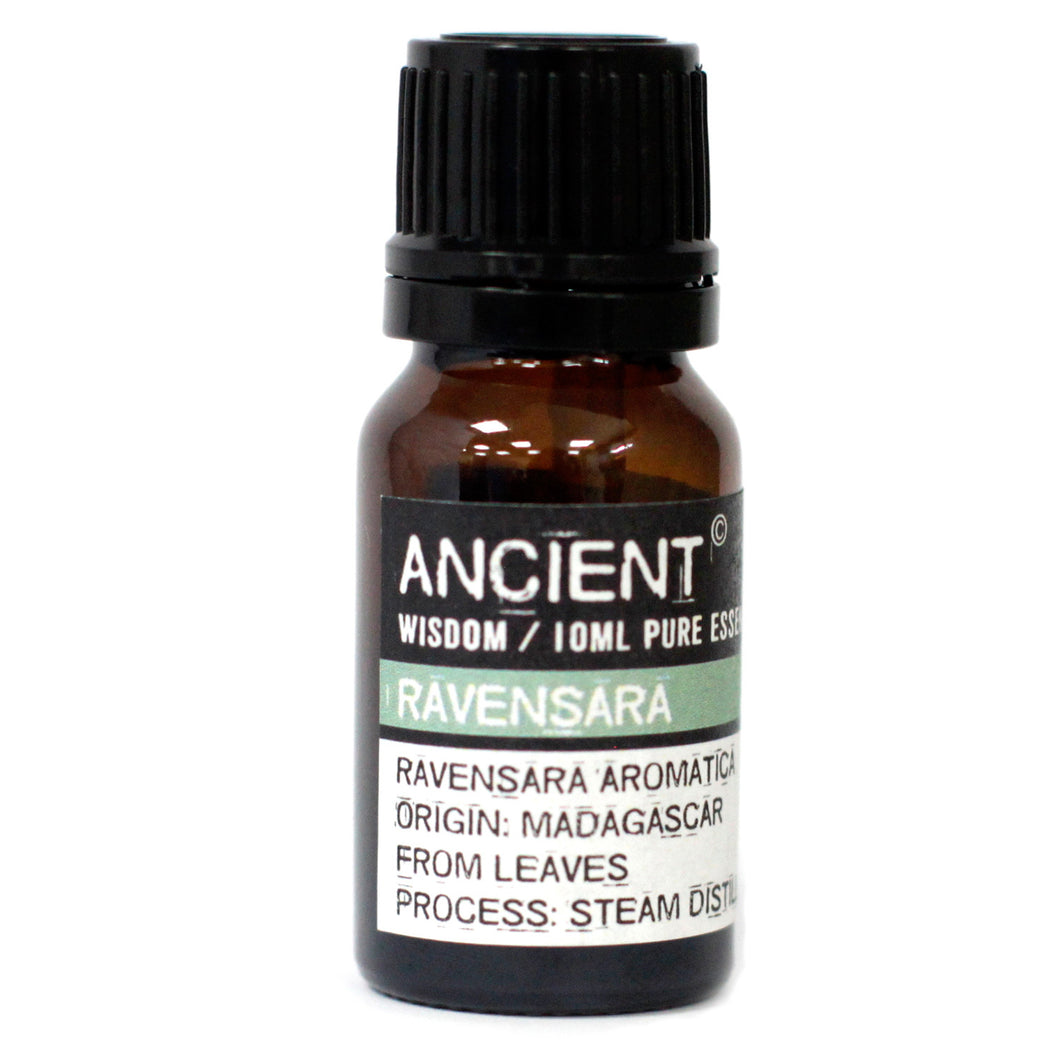 Ravensara Essential Oil is said to be a powerful antiseptic, antibacterial, and antiviral, used to treat internal and skin conditions. This oil is used in aromatherapy to treat ailments caused by excess mucous and phlegm in the respiratory tract.