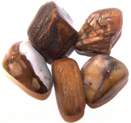 Petrified Wood Tumblestone.  This brown coloured stone is actually fossilized remains of vegetation, where the organic material has been replaced by minerals in the slow process of being replaced by stone. The organic material in these stones has been replaced by quartz, and is effectively a three dimensional representation of the original organic material.   By the very nature of the name, this crystal enables you to establish deep roots and is particularly known to ground in times of panic or anxiety. 